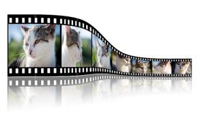Simbolična fotografija: Filmski trak